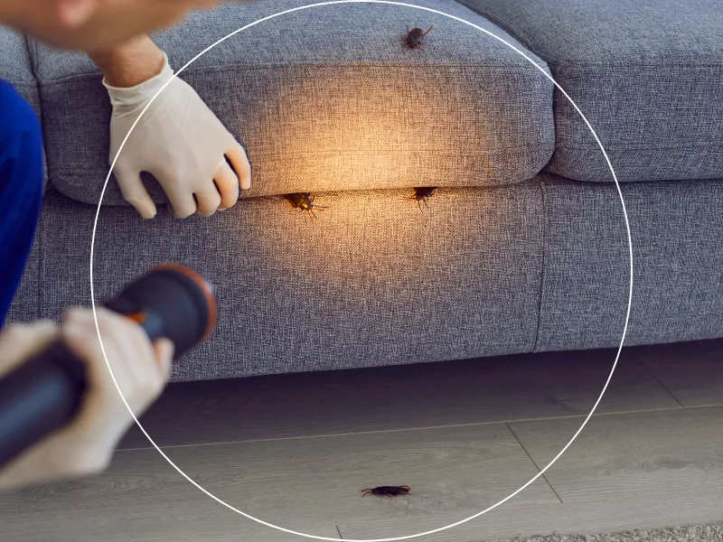 desinfection saint nazaire