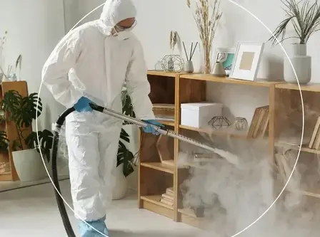 desinsectisation Pornic-2