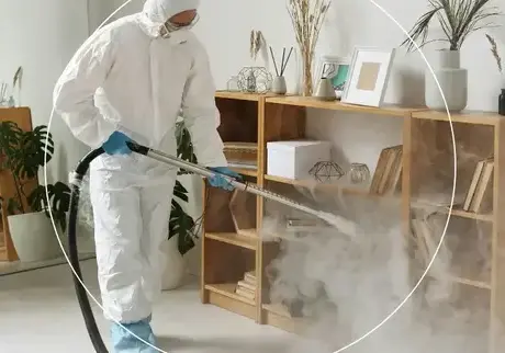 professionnel punaise de lit Ancenis-1