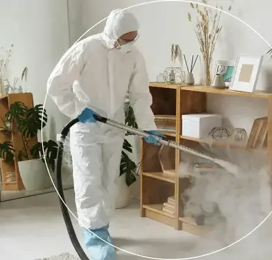 professionnel punaise de lit Les Herbiers-3