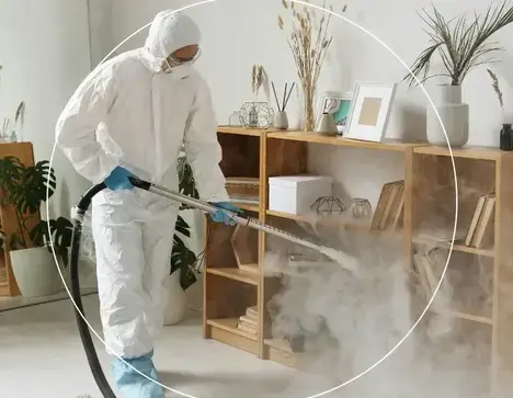 professionnel punaise de lit Montaigu-3