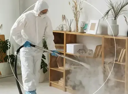professionnel punaise de lit Nantes-5