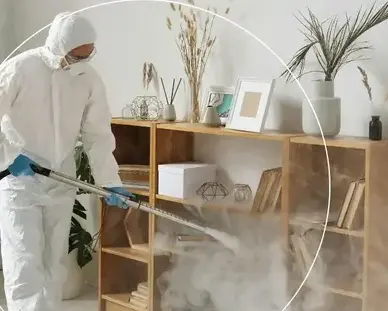 professionnel punaise de lit Pornic-4