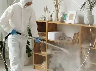 professionnel punaise de lit Vertou-5